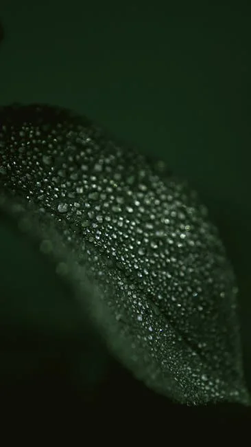 Samsung WW11DG6B25LEAH 1400 Devir 11 kg Çamaşır Makinesi - 2